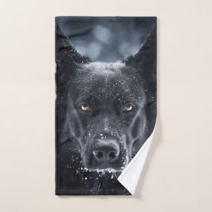 Black German Shepherd