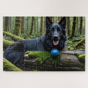 Black German Shepherd with Ball