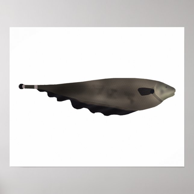 Black Ghost Poster (Vorne)