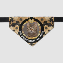 Black Gold Botanical Cat Photo Luxury Style