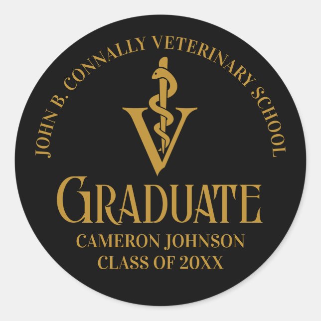 Black Gold Veterinary School Graduation Party Runder Aufkleber (Vorderseite)