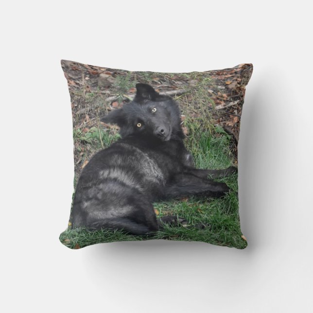 Black Gray Wolf Pup Wildlife Throw Kissen (Vorderseite)