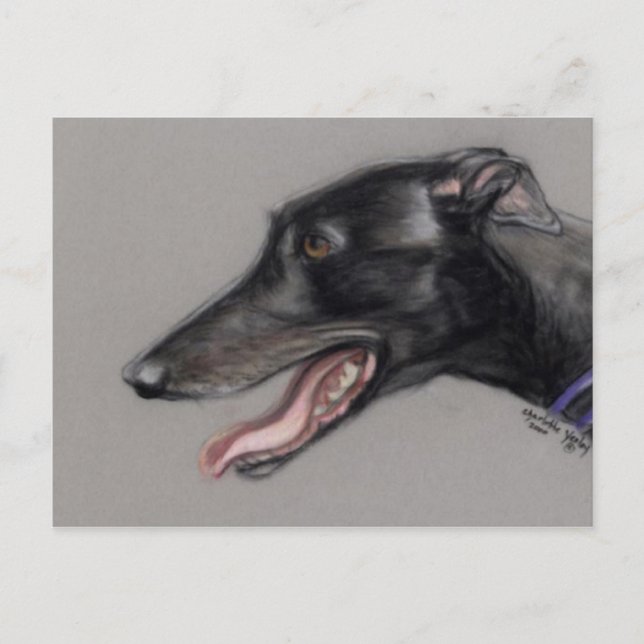 Black Greyhound Original Hund Postkarte (Vorderseite)