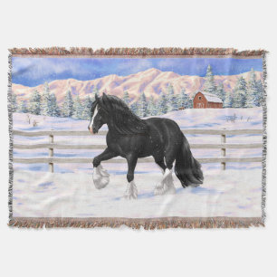 Black Gypsy Vanner Irish Cob Draft Horse in Snow Decke