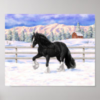 Black Gypsy Vanner Irish Cob Draft Horse in Snow