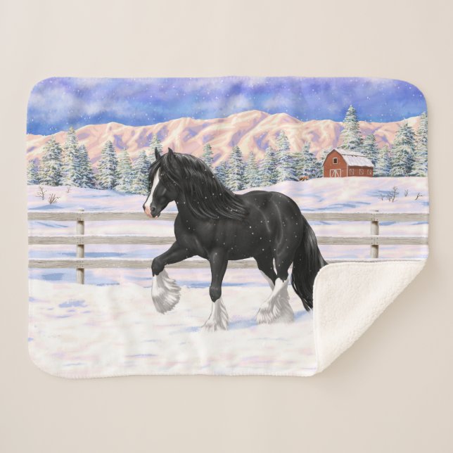 Black Gypsy Vanner Irish Cob Draft Horse in Snow Sherpadecke (Vorderseite (Horizontal))