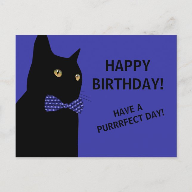 Black Happy Birthday Cat mit einer Blue Bow-Krawat Postkarte (Vorderseite)