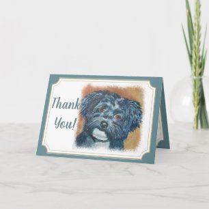 Black Havanese Welppy DANKE