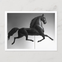 Black Hawk Weathervane Postkarte