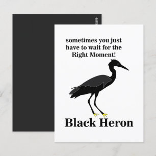 Black Heron Egret Bird Wildlife Postkarte