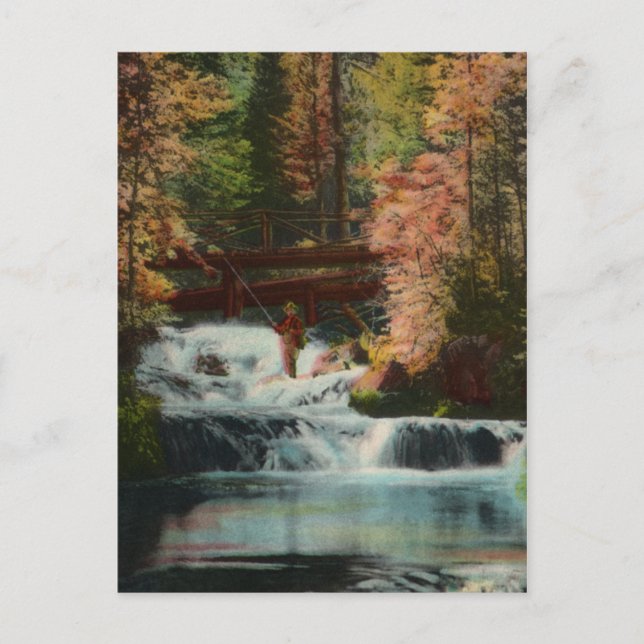 Black Hills Fisherman Vintag Postcard Postkarte (Vorderseite)