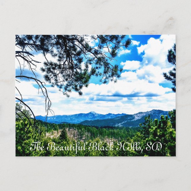 Black Hills SD Postcard Postkarte (Vorderseite)