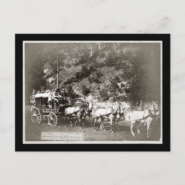 Black Hills Treasure Coach Vintag Postkarte (Vorderseite)