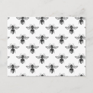 Black Honey Bees on White Postkarte