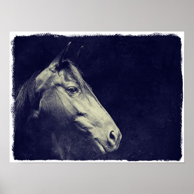 Black Horse Poster (Vorne)
