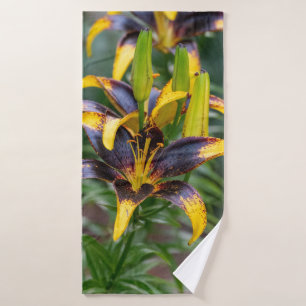 Black Hybrid Asiatique Lily, Fleur Photographie