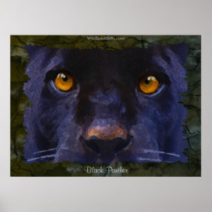 BLACK JAGUAR ~ BLACK PANTHER larger Art Print Poster