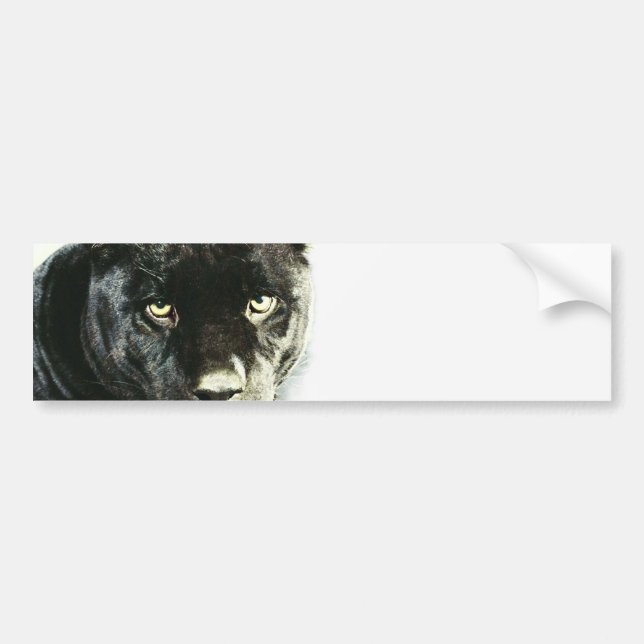Black Jaguar Panther Autoaufkleber (Vorne)