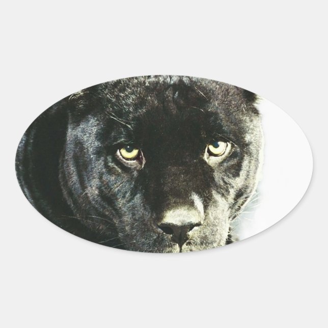 Black Jaguar Panther Eyes Oval Stickers (Vorderseite)