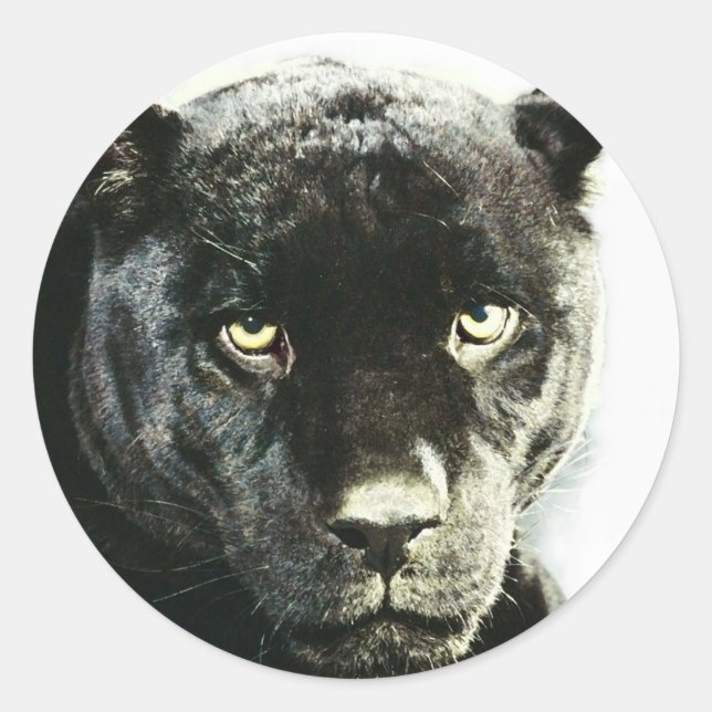 Black Jaguar Panther Runder Aufkleber (Vorderseite)