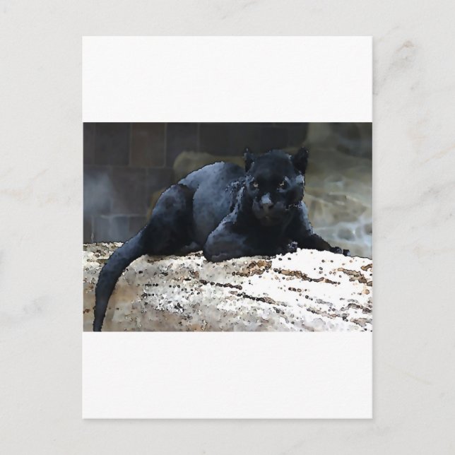 Black Jaguar Postkarte (Vorderseite)