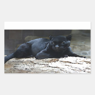 Black Jaguar Rectangle Stickers