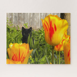 Black Kitten im farbenfrohen Tulip Garden