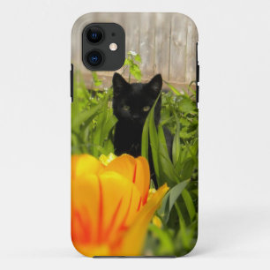 Black Kitten im Garten iPhone 5 Fall title_seo2