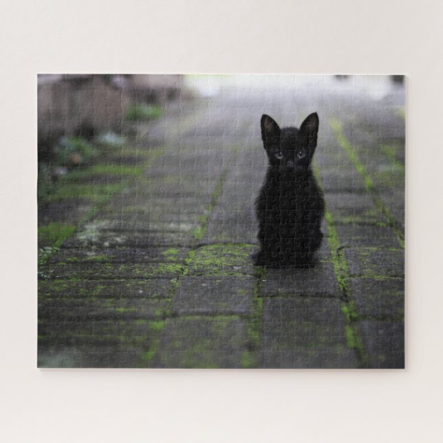 Black Kitten Jigsaw Puzzle (Horizontal)