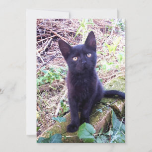 Black Kitten Karte
