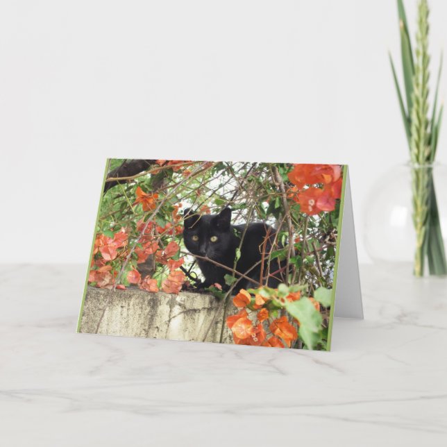 Black Kitten Peeking Through Orange Bougainvillea Karte (Vorderseite)