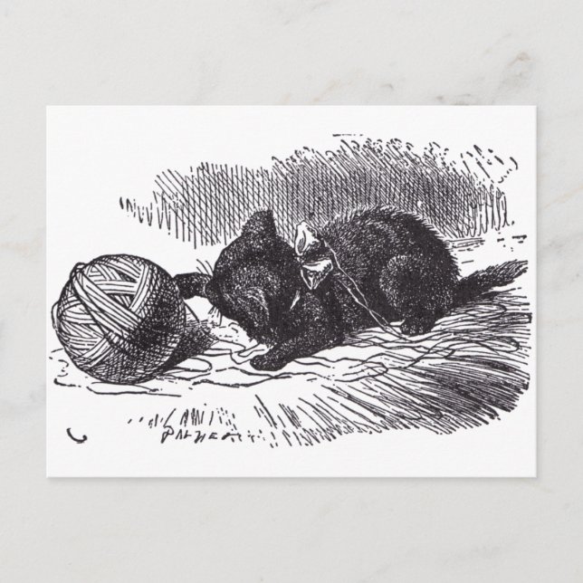 Black Kitten Postkarte (Vorderseite)