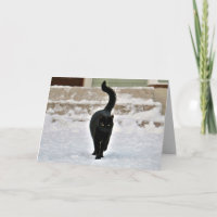Black Kitty Cat Niedliche individuell anpassbare K