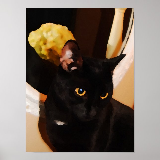 Black Kitty Poster (Vorne)