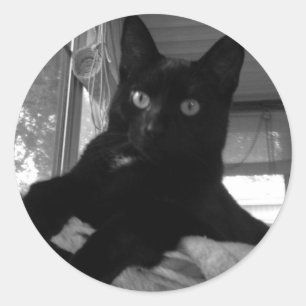 Black Kitty Runder Aufkleber