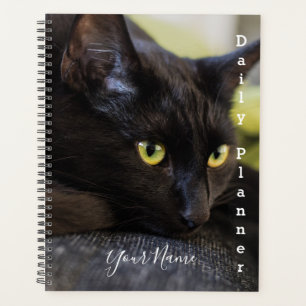 Black Kitty - Täglicher Planer- HAMbWG Planer