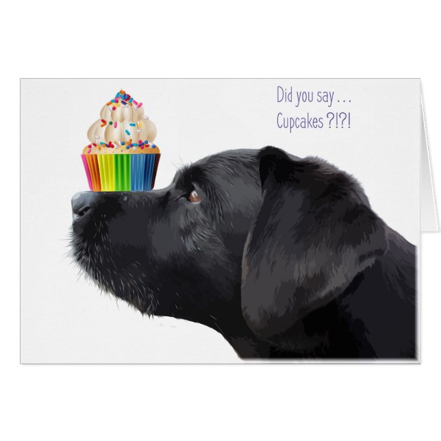 Black Lab All Occasion Card - Cartes Cupcake (Devant horizontal)