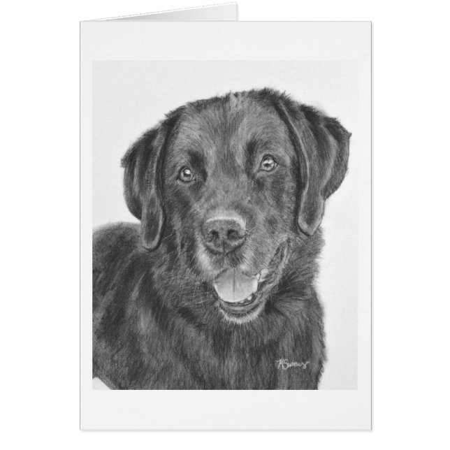 Black Lab Bandit (Vorne)