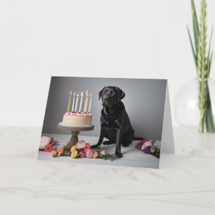 Black Lab Birthday Karte