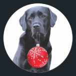 Black Lab Christmas - Labrador Puppy Niedlich Hund Runder Aufkleber<br><div class="desc">Schick frohe Weihnachtsgrüße und dekoriere Pakete mit diesem bezaubernden Black Labrador Weihnachtsaufkleber . Dieser schwarze Labrador Weihnachtsaufkleber wird unter den Labrador-Liebhabern beliebt sein. Besuchen Sie unsere Kollektion für passende schwarze Labyrinthe-Weihnachtskarten,  Wohngestaltung und Geschenke. COPYRIGHT © 2020 Judy Burrows,  Black Dog Art - Alle Rechte vorbehalten</div>