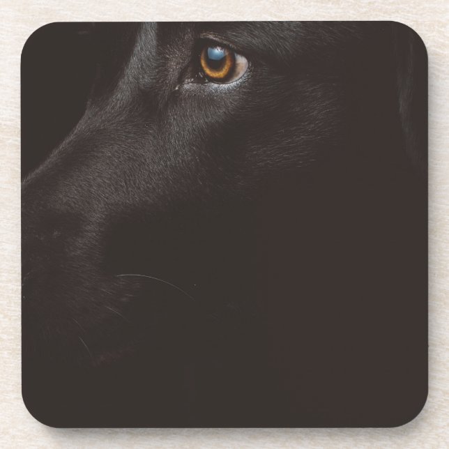 black lab getränkeuntersetzer (Vorderseite)