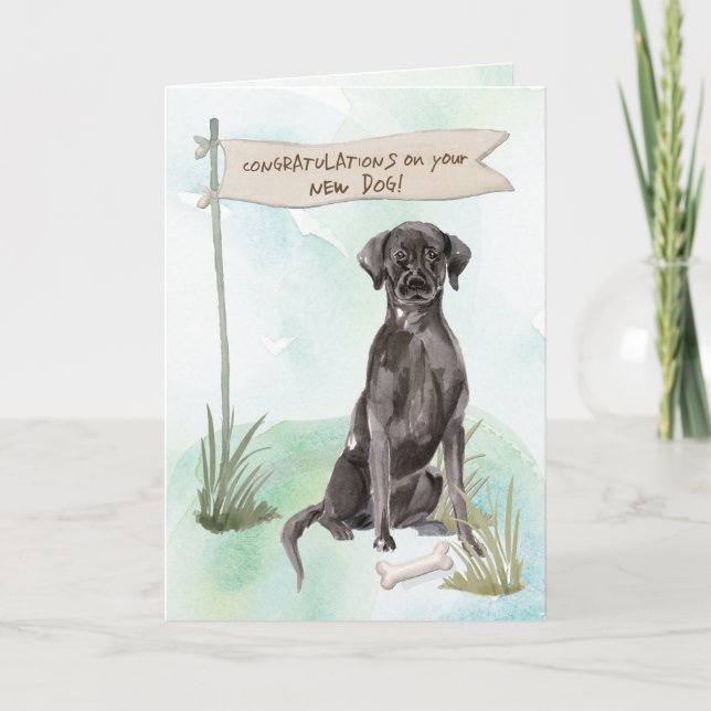 Black Lab Herzlichen Glückwunsch zum neuen Hund Karte (Vorderseite)