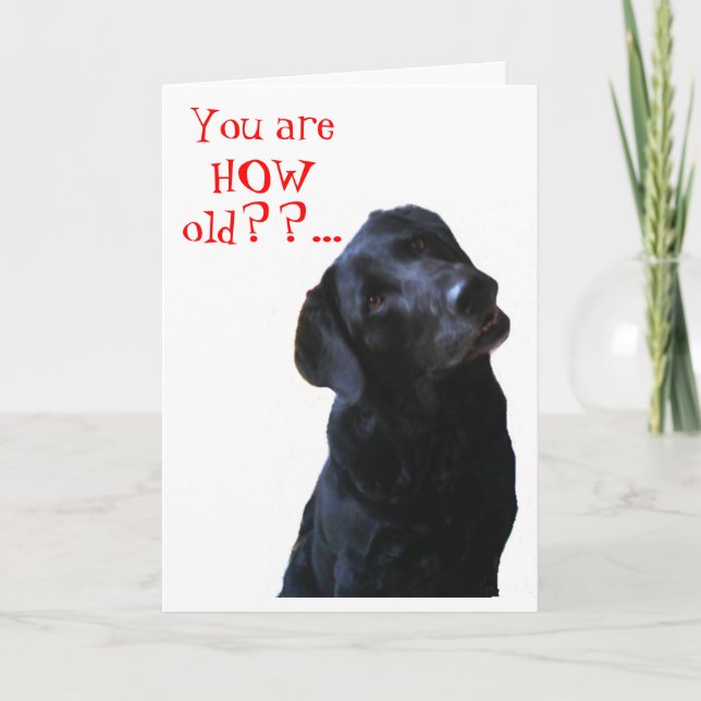 Black Lab Hund Tipping Head wünschen Happy Birthda Karte (Vorderseite)