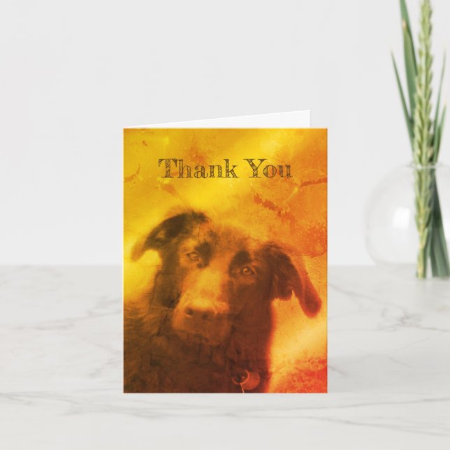 Black Lab Hunde Kunst Danke Karte (Vorderseite)