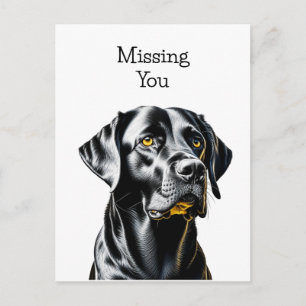 Black Lab Hundeliebhaber   Vermisse Dich Postkarte