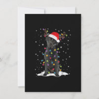 Black Lab Labrador Weihnachtsbaum Light Pajama Dog