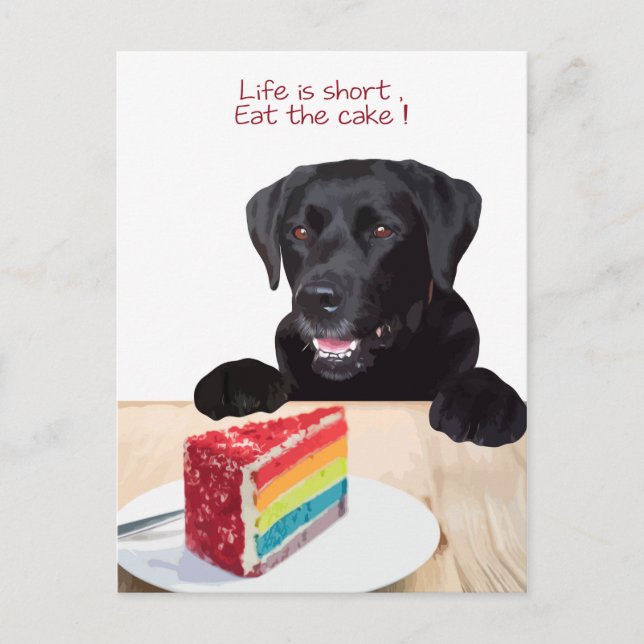 Black Lab- Life is short , eat the Cake - Labrador Postkarte (Vorderseite)