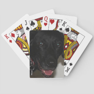 Black Lab Playing Cards Spielkarten