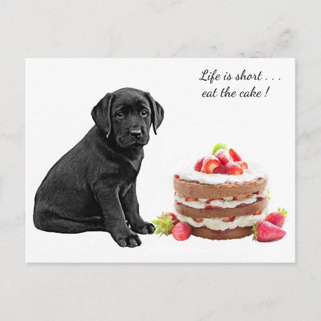 Black Lab Puppy - Dog Birthday - Labrador Dog Cake Postkarte (Vorderseite)