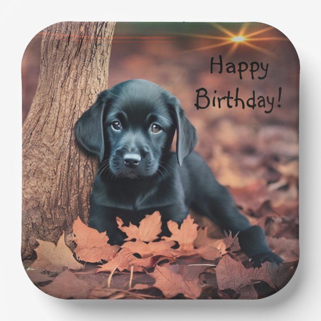 Black Lab Puppy Pappteller (Vorderseite)